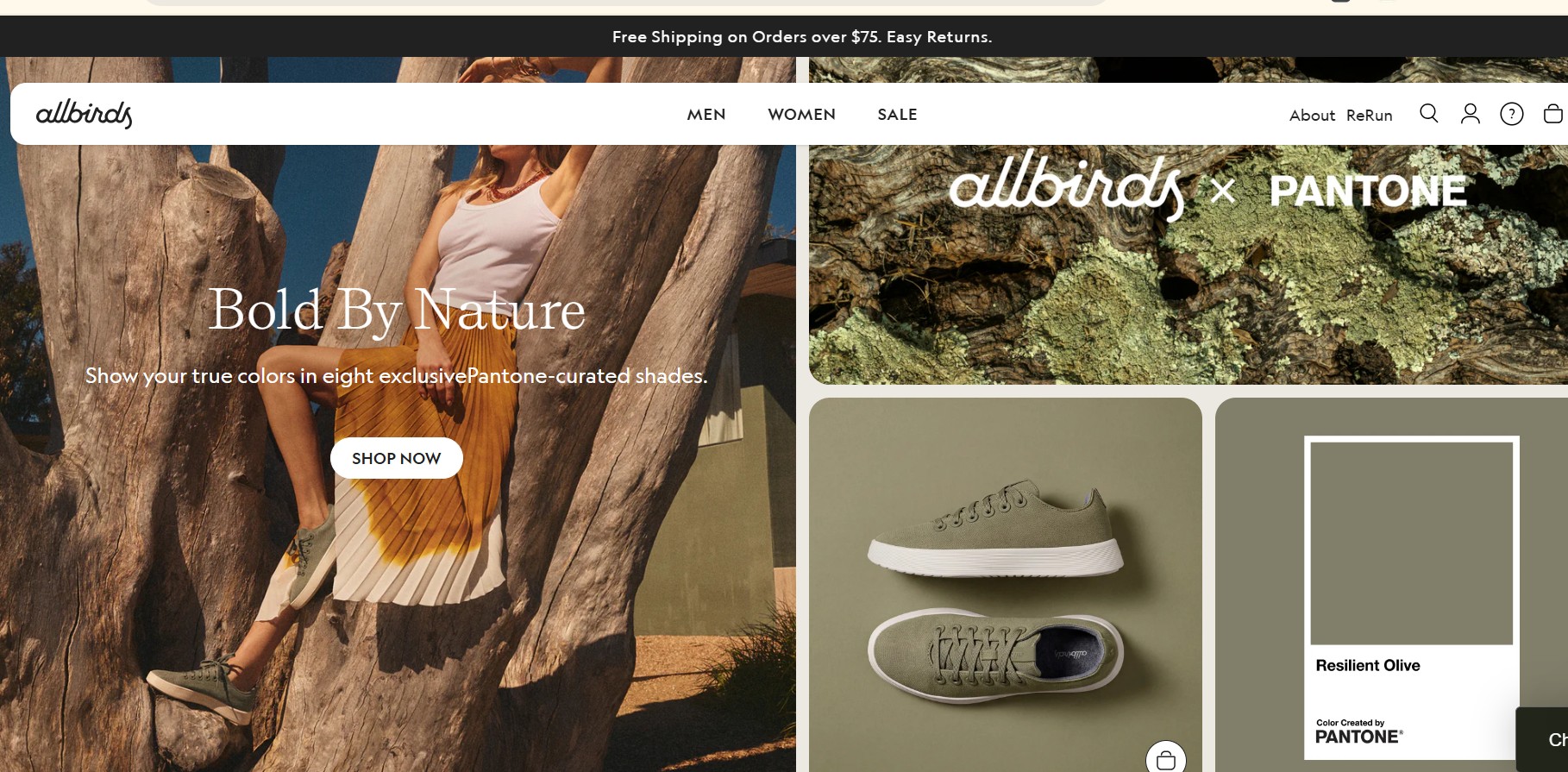 Allbirds
